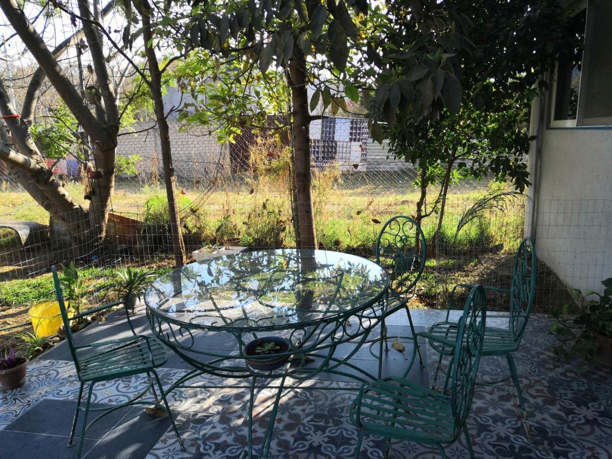 Montealban House Bed & Breakfast Oaxaca Exterior photo